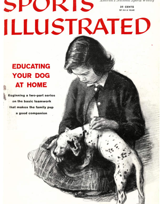 41239 - Cover Image